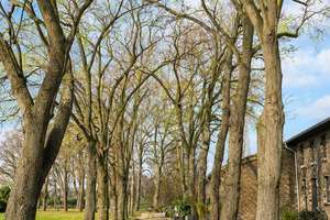 Property thumbnail 14