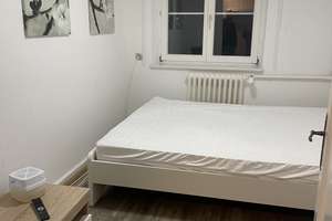 EFH mit ELW 10 Zi  Villa, 250 qm WFL,  988 qm Grundstück , Quelle – Hauptstraße 28, 79736 Rickenbach – Vorschaubild 66