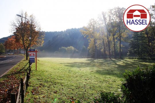 Single wohnung euskirchen