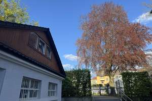 Attraktive DG-Wohnung -  Citylage im Grünen an Kuppelkirche, hohe Lebensqualität; von privat – Die vollständige Adresse der Immobilie erhältst du vom Anbieter., 64283 Mitte, Darmstadt – Vorschaubild 26