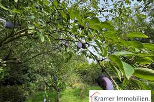 ### BIETERVERFAHREN - Geben Sie Ihr bestes Gebot ! ###
### Zwei Häuser- ein Preis ! ### PROVISIONSF – Ammerland (Kreis) – Vorschaubild 11