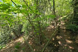 *GKI* Wohnen im Grünen – Idyllisches Mehrgenerationenhaus mit eigenem Waldstück – Schmitteborn 47, 42389 Langerfeld-Beyenburg, Wuppertal – Vorschaubild 9