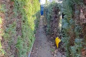 Property thumbnail 25