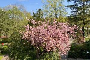 Property thumbnail 2