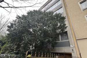 Eine kleine Traumwohnung in der Stadt – Die vollständige Adresse der Immobilie erhältst du vom Anbieter., 65195 Westend / Bleichstraße, Wiesbaden – Vorschaubild 13