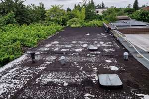 Doppelhaushälfte Birkenweiler – Birkenweiler 7. Gartenweg 7, 39128 Neustädter Feld, Magdeburg – Vorschaubild 42