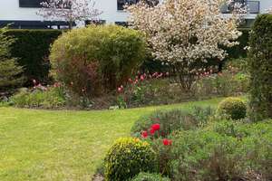 Property thumbnail 10