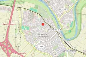 Liegenschaft zur Projektentwicklung mit Wertsteigerungspotential – 68239 Seckenheim, Mannheim – Vorschaubild 19