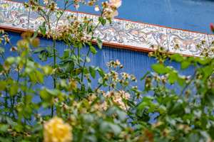 Ein blaues Haus im Viertel – voller Geschichte, Charme und Möglichkeiten – Die vollständige Adresse der Immobilie erhältst du vom Anbieter., 28203 Ostertor, Bremen – Vorschaubild 29