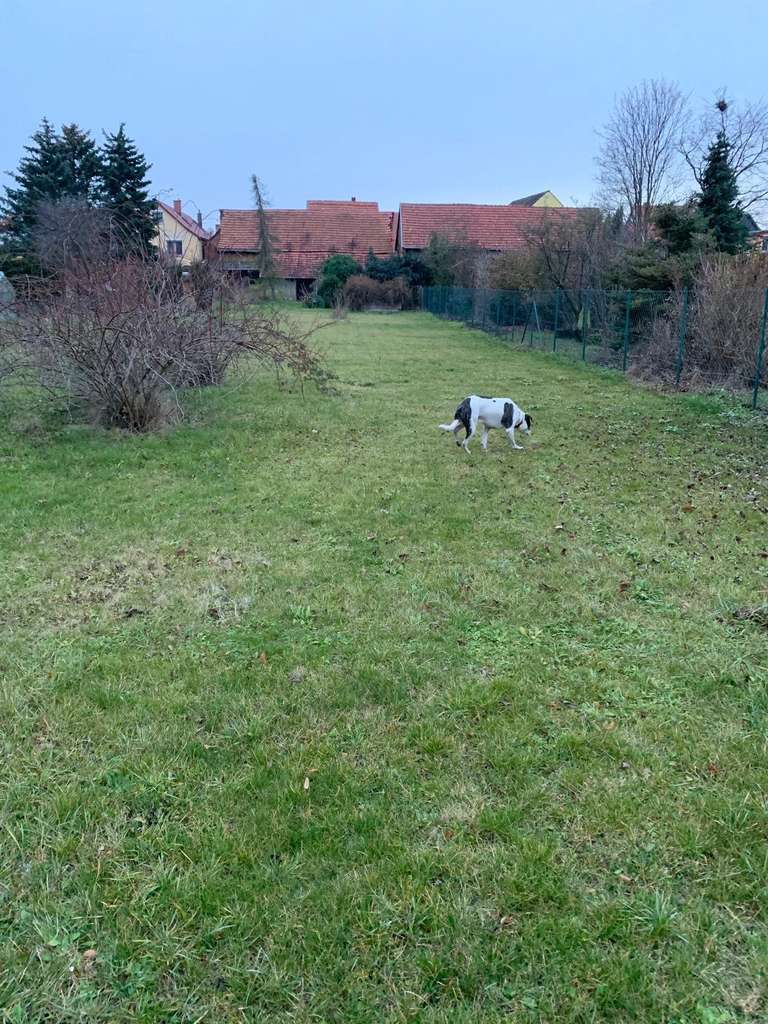 Immobilie in Unstrut-Hainich - Unstrut Hainich-OT, 2 Wohnhäuser - Bild 4