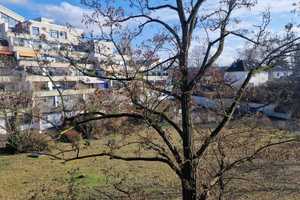 Zwischen "Scharfe Lanke" und Havel: Apartment mit großer Terrasse - ruhige Lage (Handwerkerobjekt) – Berlin – Vorschaubild 3