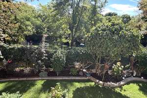 Gepflegte Split-Level-Wohnung mit Garten und Blick auf die Wörthspitze – 65934 Nied, Frankfurt am Main – Vorschaubild 10