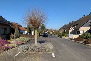 SANKT AUGUSTIN in top Lage, gepflegte Einfam. DHH mit 5-6 Zi., 301 m² GrSt., Keller, Garten, Garage – Rhein-Sieg-Kreis – Vorschaubild 73