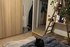 2-Zimmer Wohnung im Dortmunder Süden – Die vollständige Adresse der Immobilie erhältst du vom Anbieter., 44265 Wichlinghofen, Dortmund – Vorschaubild 8
