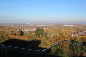 " ... vom Feinsten ... " – Steinbrunner Weg 18, 67271 Battenberg (Pfalz) – Vorschaubild 12