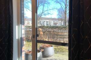 Property thumbnail 13