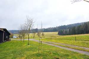 Großes landwirtschaftliches Anwesen mit 2 Häusern, Nebengebäuden, Wohnmobilstellplätzen etc. – Odenwaldkreis – Vorschaubild 16