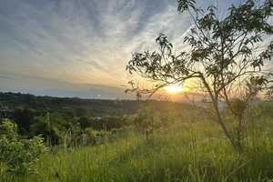 Natur Pur, gute ruhige Lage, magischer Blick, gehobene Innenausstattung, nach Renovierung – Mainz-Bingen (Kreis) – Vorschaubild 1