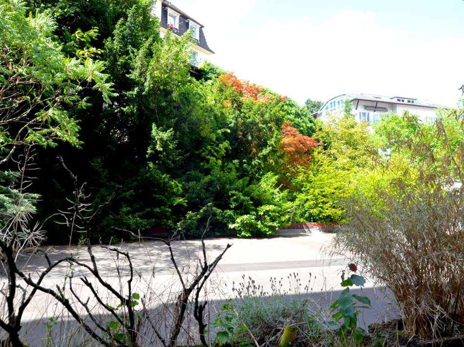 Ausblick Terrasse