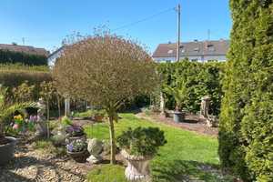 Mein schönes Zuhause
in Pfaffenhofen – Neu-Ulm (Kreis) – Vorschaubild 15