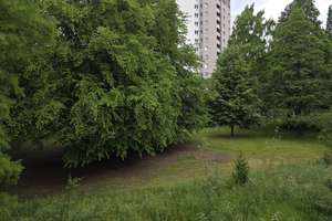 Attraktiv! Familienfreundliche 3- Zimmer-Wohnung – Altenberger Str. 15, 52074 Hangeweiher, Aachen – Vorschaubild 3