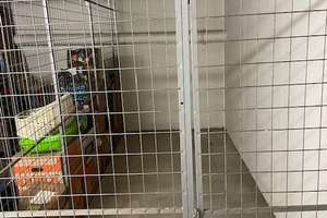 2-Zimmer-Wohnung in Bonn Bad Godesberg – Konstantinstr. 11a, 53179 Rüngsdorf, Bonn – Vorschaubild 15