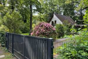Waldsteinberg: Ideal für Naturliebhaber – Leipzig (Kreis) – Vorschaubild 25