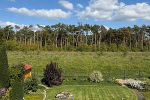 Unverbaubarer Blick ins Grüne - Idyllische Waldrandlage mit Raum für Familie und Zukunft – Die vollständige Adresse der Immobilie erhältst du vom Anbieter., 68623 Lampertheim – Vorschaubild 34