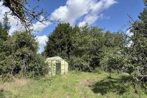 Ehemaliger Obsthof in Plessow – An der B1 13, 14542 Potsdam-Mittelmark (Kreis) – Vorschaubild 38