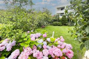 Property thumbnail 13