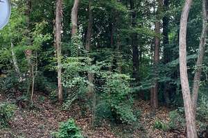 Einzigartig Wohnen in einer Parklandschaft / Stadtnah / freistehend – Gödinghover Weg 27, 40627 Unterbach, Düsseldorf – Vorschaubild 4