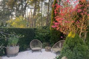 Leben und Arbeiten in der Relax-Zone, provisionsfrei für den Käufer