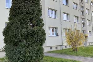 In Elbnähe wohnen. Bad mit Dusche. Balkon. Grüner Ausblick – Die vollständige Adresse der Immobilie erhältst du vom Anbieter., 39114 Prester, Magdeburg – Vorschaubild 15