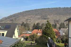 Familienparadies: EFH mit herrlicher Gartenoase und Blick auf die Weinberge! – Miltenberg (Kreis) – Vorschaubild 11