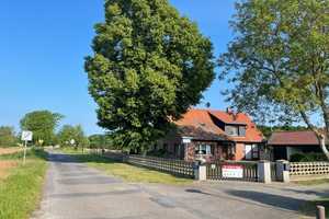 Landleben mit Weitblick – Wohnhaus mit Pferdestall, mehreren Einheiten und optionalem Land in Pen... – Oberhavel (Kreis) – Vorschaubild 1