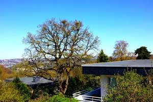 +++ BRIMO |  Architektenvilla in Bestlage mit spektakulärem Weitblick über Wuppertal +++ – Die vollständige Adresse der Immobilie erhältst du vom Anbieter., 42119 Elberfeld, Wuppertal – Vorschaubild 2