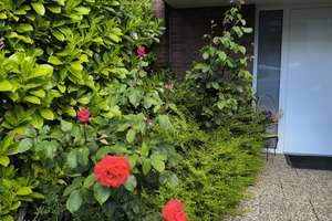 RESERVIERT-Einzigartige Maisonette -Wohnung mit eigenem Garten, Garage und separatem Eingang – Die vollständige Adresse der Immobilie erhältst du vom Anbieter., 53127 Ippendorf, Bonn – Vorschaubild 3