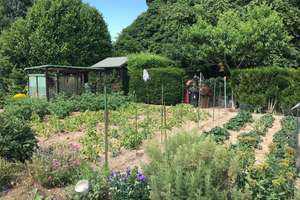 Reihenendhaus mit großen Gartengrundstück und Vollkeller – Die vollständige Adresse der Immobilie erhältst du vom Anbieter., 41189 Wickrath-Mitte, Mönchengladbach – Vorschaubild 6