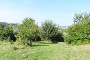 Mehrfamilienhaus mit drei Wohneinheiten, Garagen, Garten Streuobstwiese und Mega-Fernblick! – Trier-Saarburg (Kreis) – Vorschaubild 47
