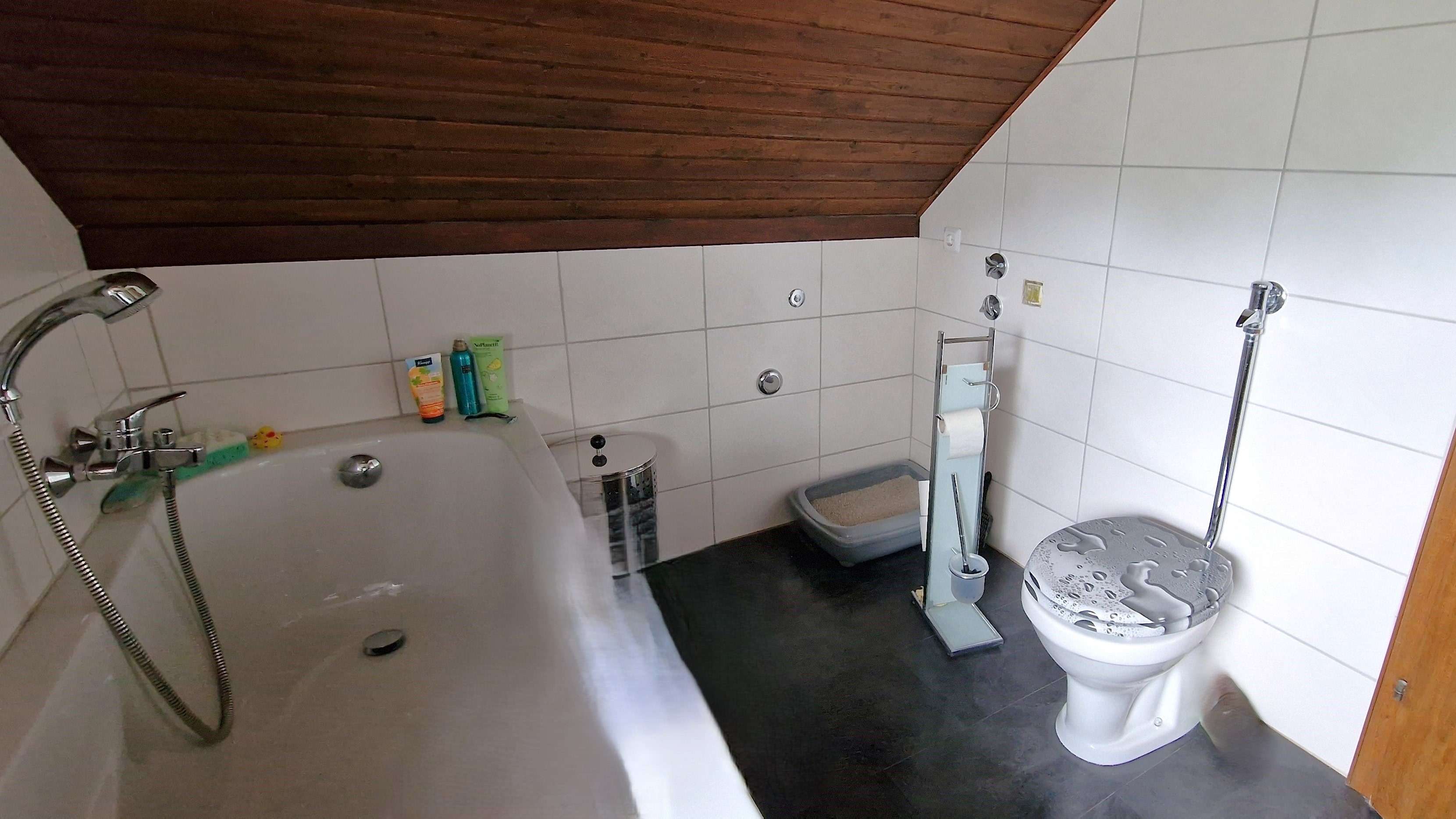 Immobilie in Neuburg an der Donau - Familienfreundliches Haus mit Einliegerwohnung in Neuburg a.d.Donau - Bild 3