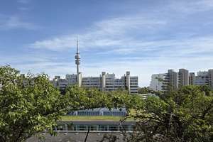 Neu renoviertes 1 Zimmer- Appartement im Olympiadorf zu vermieten – Die vollständige Adresse der Immobilie erhältst du vom Anbieter., 80809 Am Riesenfeld, München – Vorschaubild 1