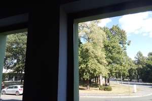 Helle 2 Zimmer – St. Jobst – 1 Min zum Wöhrder See – Garage – Thumenberger Weg 3, 90491 Sankt Jobst, Nürnberg – Vorschaubild 4