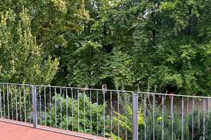 Einfamilienhaus mit ca. 120 QM, 3 Zimmer,Terrasse. ,Garten, 2 Garagen, AC-Burtscheid – Die vollständige Adresse der Immobilie erhältst du vom Anbieter., 52066 Burtscheider Abtei, Aachen – Vorschaubild 39