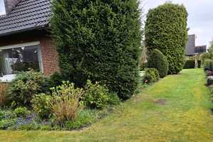 Freistehend 2 Familien Haus in Havixbeck zu Vermieten – Habichstraße 66, 48329 Coesfeld (Kreis) – Vorschaubild 7