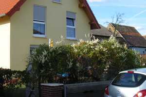 Gepflegtes 5-Raum-Einfamilienhaus mit gehobener Innenausstattung in Einhausen – Bergstraße (Kreis) – Vorschaubild 7