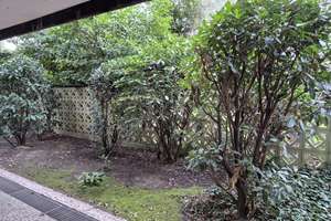 Apartment - mit Terrasse, Küche, Garage, Sauna & Schwimmbad - im beliebten Düsseltal