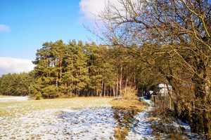 Leben wie im Urlaub- Einzigartiges  Haus am Voßkanal – Oberhavel (Kreis) – Vorschaubild 39