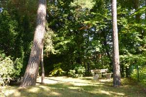 Property thumbnail 46