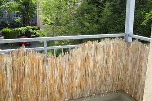 Schöne 3 Zi-Wohnung mit Balkon, Laminat, off. Küche, Wannenbad in der südl. Innenstadt – Beyschlagstraße 29, 6110 Südliche Innenstadt, Halle (Saale) – Vorschaubild 9