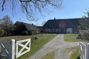 Schöner Geesthardenhof mit Backhaus,Gewächshaus und Gemüsegarten – Nordfriesland (Kreis) – Vorschaubild 1